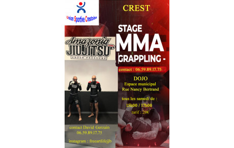 JIUJITSU Brésilien MMA